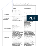 DD Între Malarie Și Toxoplasmoză - Guțan Daniela, M1618