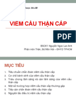 Viêm cầu thận 