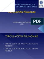 Circulación Pulmonar