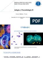 Clase 4 Apicomplexa Parte 2