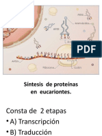 Ppt. Biologia Sintesis de Proteinas 01-06-2017