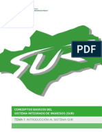 Tema 1 - INTRODUCCIÓN AL SISTEMA SUR - v3