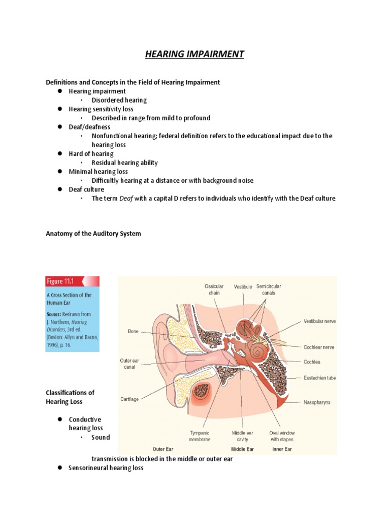 HEARING IMPAIRMENT Notes | PDF | Hearing Loss | Hearing