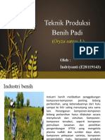 MK Industri Benih - Indriyanti (E28119143) - Agr1 - B06
