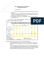 49266773-Biocombustibili-din-Biomasa