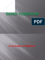 Klasifikasi Tumbuhan