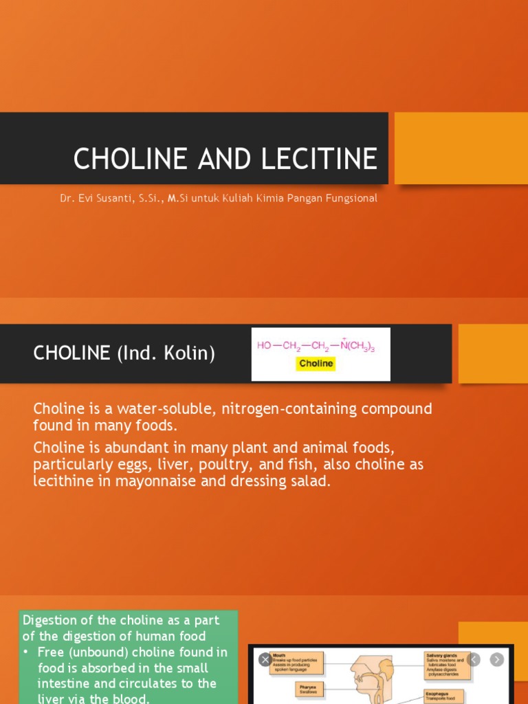 Choline and Lecitine Dr. Evi Susanti, S.Si., M.Si Untuk Kuliah Kimia Pangan Fungsional PDF