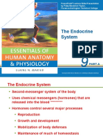 The Endocrine System: Part A
