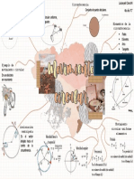 Mapa Mental Sobre El Movimiento Circular