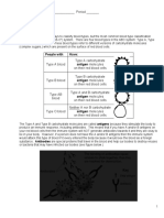 Blood Notes and Activity KEY