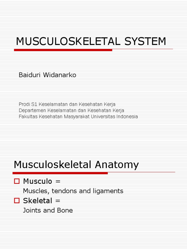 Musculoskeletal System | Download Free PDF | Human Musculoskeletal ...