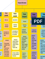 Mapa Conceptual