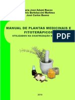 Manual de Plantas Medicinais e Fitoterápicos Utilizados Na Cicatrização de Feridas