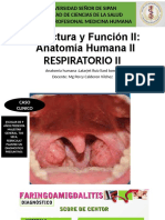 Sesion 2 Anatomia Respiratoria Ii