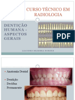 1 - Dentição Humana - Aspectos Gerais