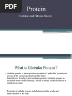 Protein: Globular and Fibrous Protein