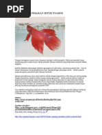 Download IKAN CUPANG PEMAKAN JENTIK NYAMUK by Digdo Sudigyo SN50360939 doc pdf