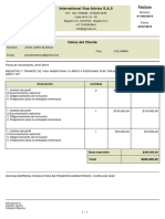 Factura International Visa Advice S.A.S: Total $480.000,00