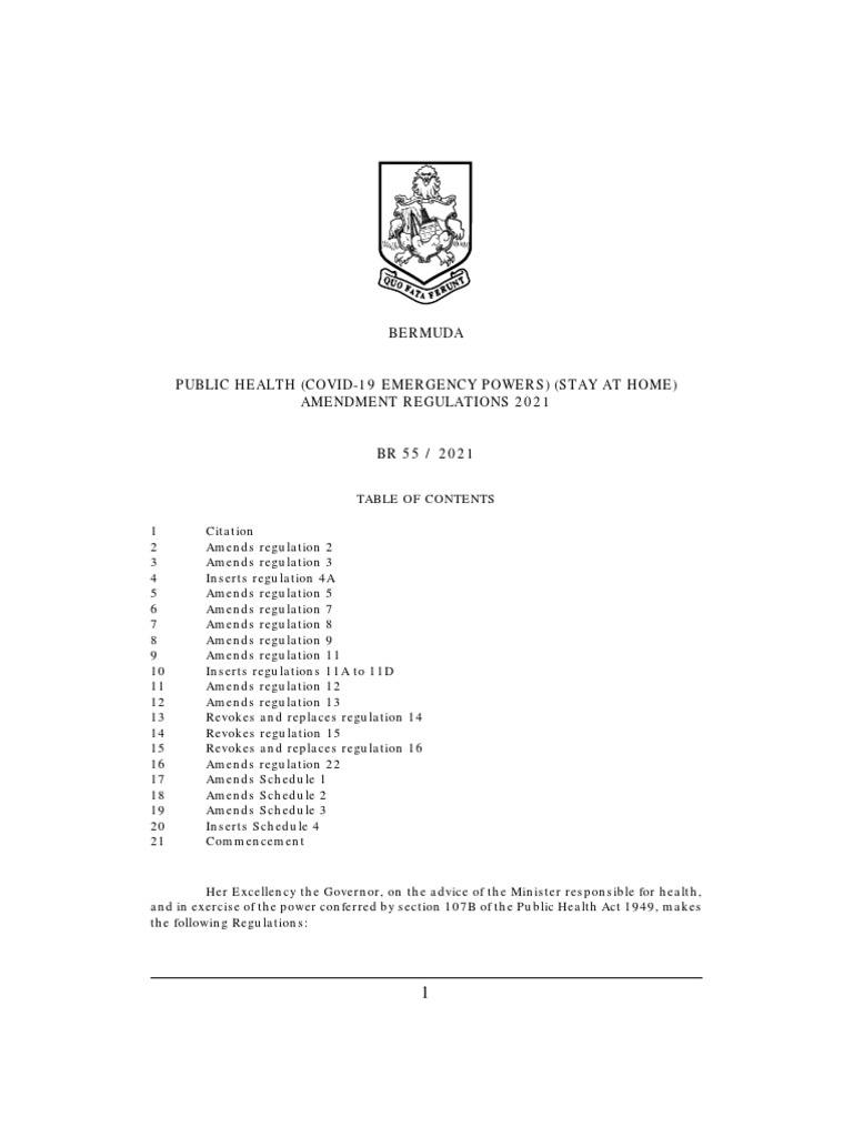 Public Health (COVID19 Emergency Powers) (Stay at Home) Amendment