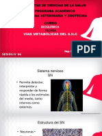 Bioquimica Teoria (N°4) Veterinaria 2021 - I