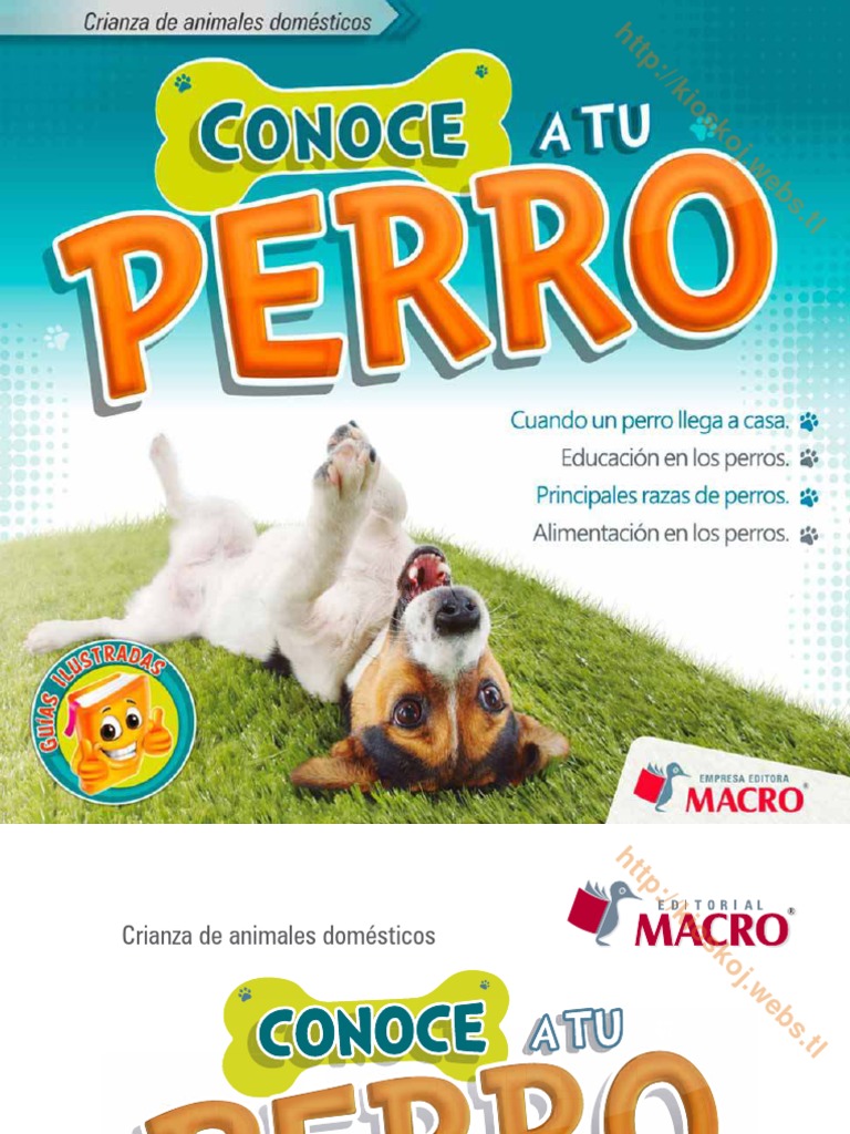 🤔 ¿CÓMO PUEDES SABER CUANDO UN PERRO PUEDE SER PELIGROSO? Hay señales de  amenaza que están presentes en todos los perros 🐕‍ y esto no…