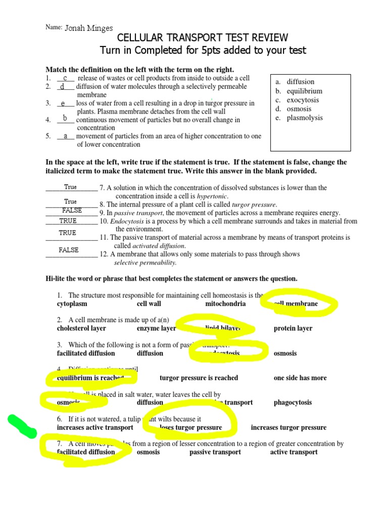 Kami Export - Jonah Minges - Cellular Transport Test Review | PDF 