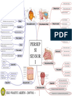 Mind Mapping Persepsi Sensori