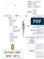 Mind Mapping Sistem Muskulosekeletal