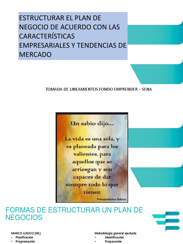 Estructura de un Plan de Negocio Avícola | PDF | Modelo de negocio ...