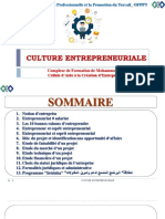 Cours Culture Entrepreneuriale tsge