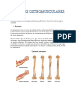 Lesiones Osteomusculares