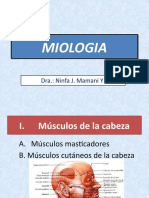 Miologia 1