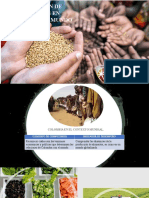Producción de Alimentos en Colombia y El Mundo