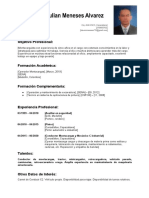 Pintorcurriculum Vitae Cronologico