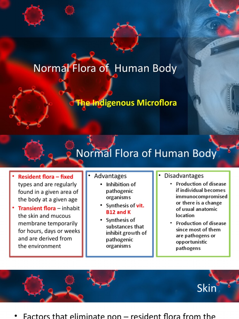 Normal Flora Of Human Body Pdf | LUGBJ