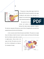 Pancreas and Esophagus Anatomy