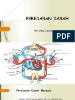 Sistem Peredaran Darah