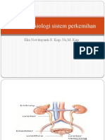 Anatomi fisiologi sistem perkemihan