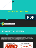 Anemia Fe