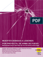 Muertes Debidas A Lesiones Por Proyectil de Arma de Fuego