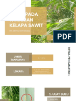 Airin Aulia Rahmi (E1K018033) - LAPORAN HTT 2 Hama Tanaman Kelapa Sawit