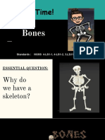 Science Time Bones Lesson Plan