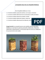 Clasificarea Solurilor RM