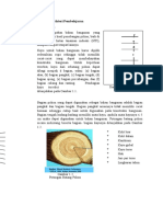 Materi Kayu