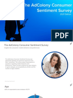 Consumer Sentiment Survey 2021 - Report