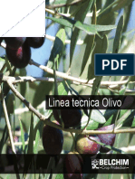 Linea Tecnica Olivo