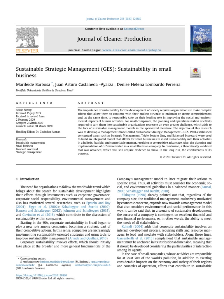 Sustainable Strategic Management Barbosa | PDF | Sustainability ...
