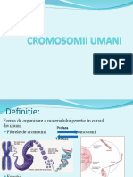 Cromosomii Umani Final1 1 1