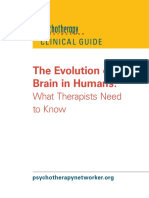 Evolution Brain Free Report