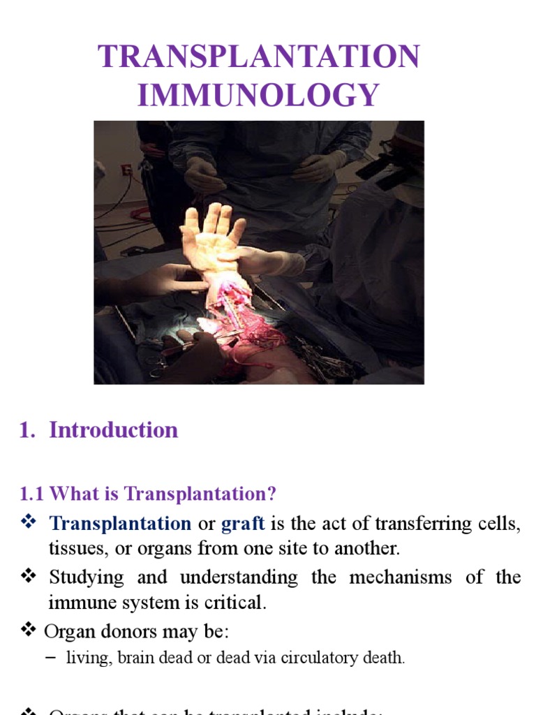 Transplantation Immunology Overview | PDF | Transplant Rejection ...